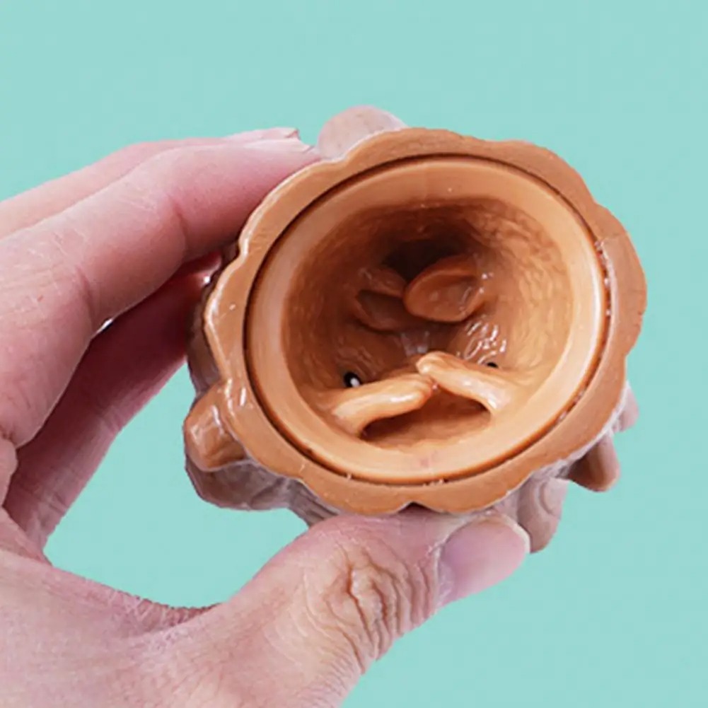 Pop Up Funny Mouse And Cheese  - Photography Jokes review and price