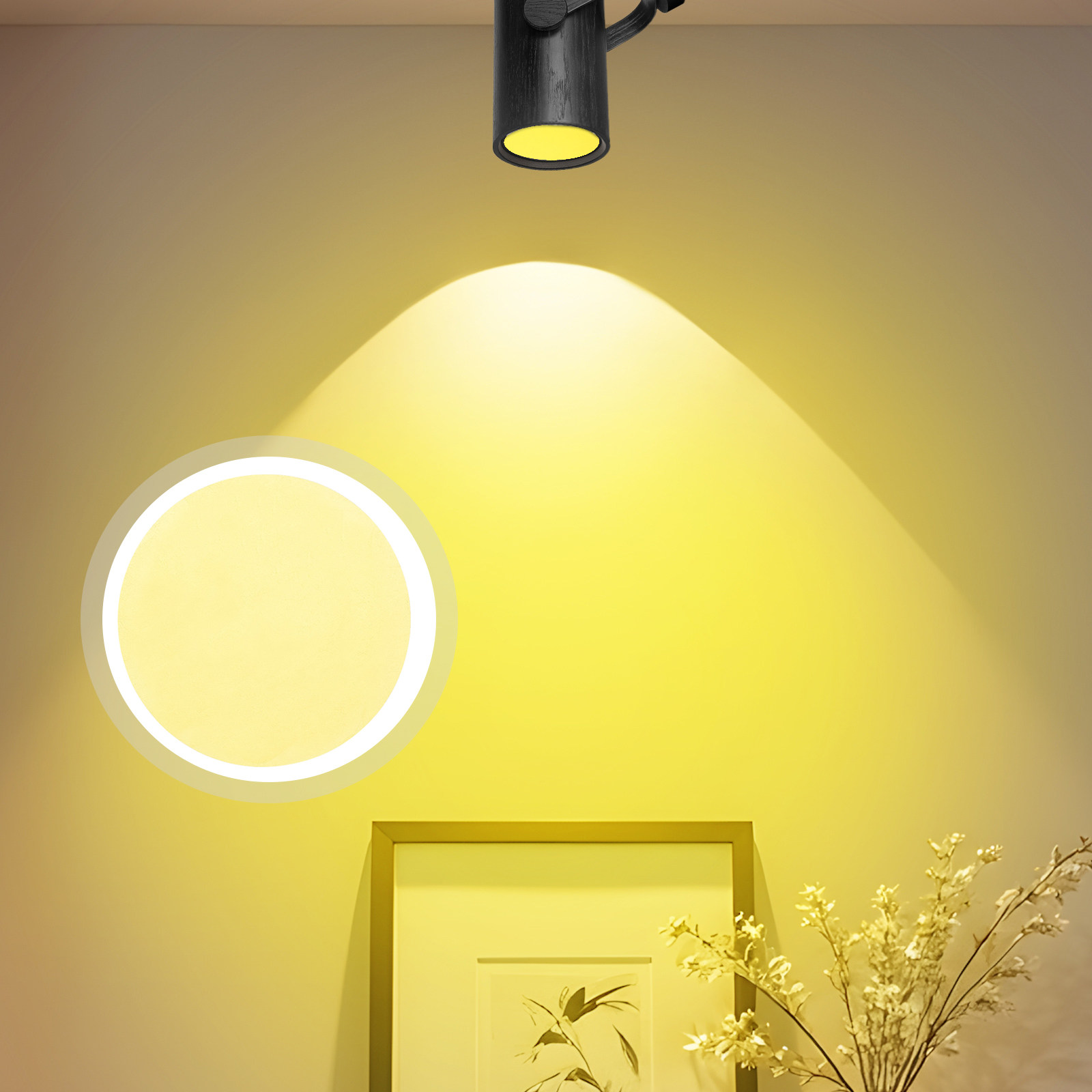5Pcs Light Gels Photography Pe - Photography Yellow Filter review and price